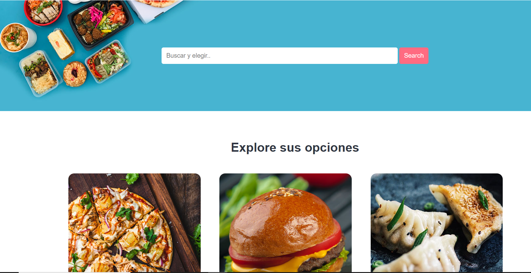 Website punto de ventas online
